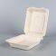 Biodegradable 8*8 Take away Sugarcane container