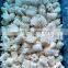 Good quality frozen skinless squid flower pineapple cut