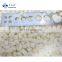 Sinocharm Brand IQF Frozen Diced White Peach
