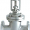 Jacket Gate Valve