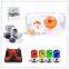 Precision Plastic Injection Mould Portable Pet Pink Transparent Acrylic Big Outdoor Hamster Cage Luxury Shell Mold Molding Parts