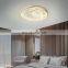 Living Room Iron Chandeliers Lamp Home Indoor Lighting Decoration Acrylic LED Ceiling Lamp