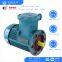 YBX4 series gas explosion-proof motor