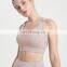 Plus Size Custom Logo Adjustable Shoulder Straps Shockproof Yoga Gym Bra Back Hook Fixed Fads Women Fitness Training Bra Top