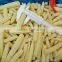 top grade IQF frozen baby corn