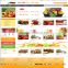 affordable web design,chinese clothing online store, shopping online websites,flash banner website design