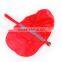 Pet and Dog Rainwear and Raincover Wholesale