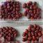 chinese dried red dates for sale