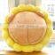 plush pad/baby animal plush mat/bear with flower dress pad