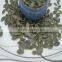 Sell All Kinds Pumpkin Seeds Grown Without Shell