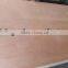 Okoume Faced Plywood