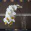 artificial cheap yellow phalaenopsis orchid
