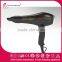 Ceramic Professional Salon hair dryer