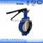 butterfly valve ansi125/150 300lb