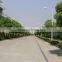7m single arm street light/lamp pole 2015 New Price Manufacturer direct sales
