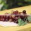 decorative artificial grapes