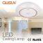 Champagne 20W Surface Mounted CE RoHS LED Ceiling Lamp living room lighting