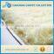 White super soft velvet indoor side bathroom mat