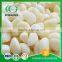 Normal Reliable Quality Pickled And Seasoned Garlic Cloves In Brine