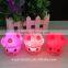 Made in China promotional gift kids cute wholesale night light led lights                        
                                                Quality Choice