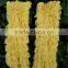 2016 wholesale lace nice children dance leg warmers
