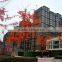 window Hollow glass , SGP Laminated Glass, Tempered Glass, silkscreen Glass, Anti-Fire Glass,Hot Bending Glas