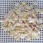 blanched apricot kernels
