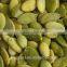 China AA Grade Pumpkin Seeds Kernels With Best Price