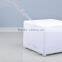 Newest LED Mini Ultrasonic Aroma Diffuser BK-EG-FD08