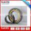 machine tool bearing Double Row Cylindrical Roller Bearing NN3005
