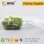 Rectangle Transparent take away plastic salad box with lid