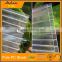 transparent solar panel greenhouse agricola