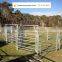 flexible horse fence(8 years experience)