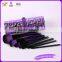 professional cute makeup brush set in oem