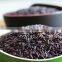 Vietnam Herbal Purple Rice