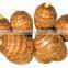 New Arrival China Fresh Taro Low Price High Quality