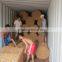 coir net