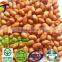 peanut kernels ,BIGGEST PEANUT & PUMPKIN SEEDS FACTORY