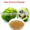Natural Noni fruit extract/Morinda citrifolia extract powder from GMP factory