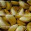 Garlic oil