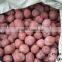 Hydroponic farming grow medium expanding clay pellet