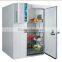 Deep Freezer Fish Cold Storage