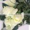 Fresh Cut Red Rose Pink Rose White Rose Blue Rose