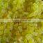 Dried fruit dicing machine