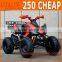 Cheap Price 250cc Quad Bike