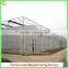 High quality 9.6m multi-span commerical plastic greenhouses for agriculture