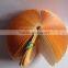 Fruit shape note pad