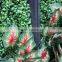 Grogerous Durable Cheap Artificial Green Plants Wall for Decoration