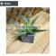mini decorative artificial plants artificial table bonsai plant artificial table decoration small plants
