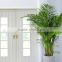 Indoor decoration Artificial Areca plant home decorarion fake artificial plant